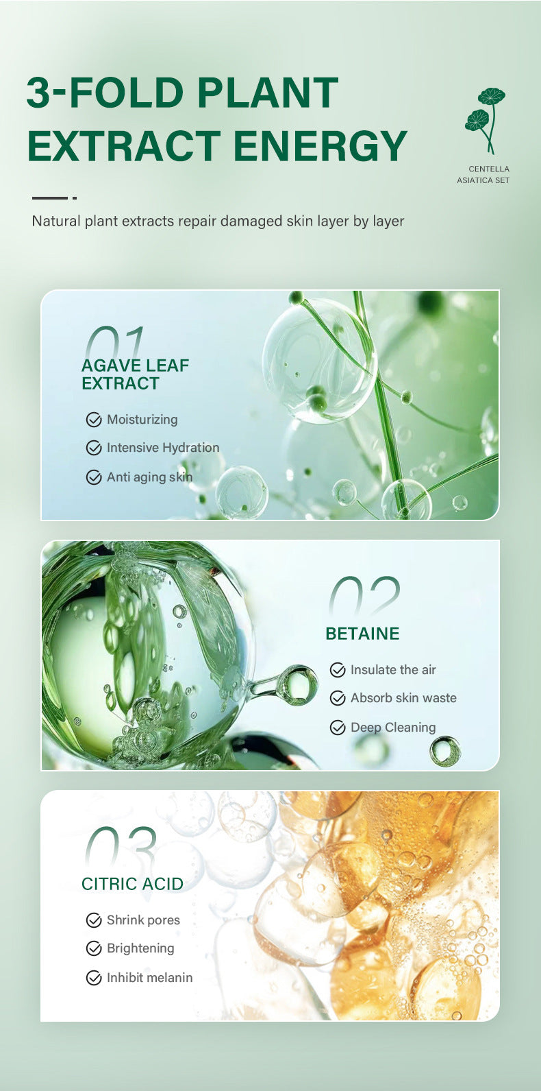 Snow Grass Facial Skincare Set - Complete Beauty Routine